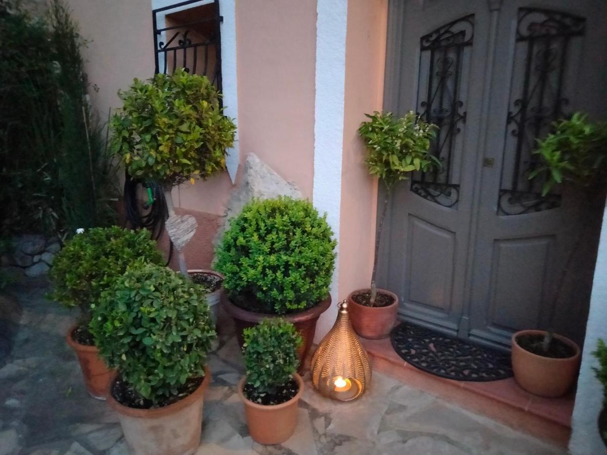 Campell Les Penyetes Boutique Bed And Breakfast מראה חיצוני תמונה